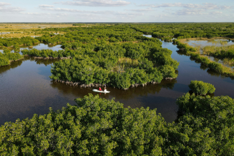 Luftaufnahme des Okavango-Deltas mit Wasserwegen und dichtem Grün.