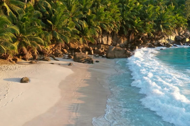 Strand, Felsen und Palmen am Meer