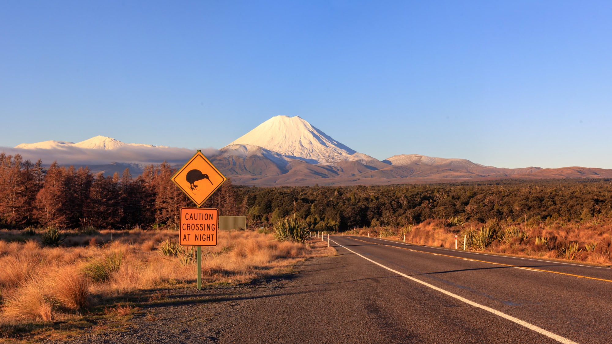 Eine Straße, die zum Mount Ngauruhoe führt, mit Kiwi-Vogel auf Straßenschild