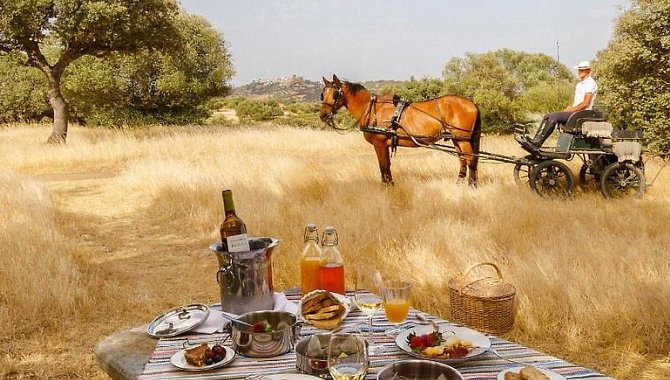 Romantisches Dinner auf einem Feld mit Pferdekutsche